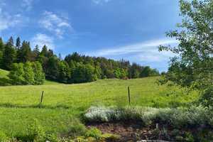 *****ALPENBLICK**** – Waldshut (Kreis) – Vorschaubild 2