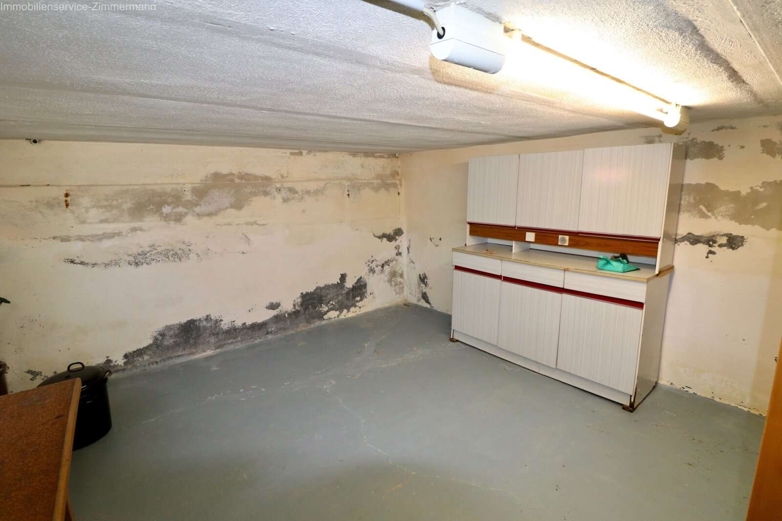 Immobilie in Rheinau - Einfamilienhaus mit großem Grundstück zu verkaufen - Bild 1