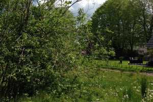 GENIESSEN SIE DIE SONNE AUF DER TERRASSE IHRES EIGENEN HAUSES! JETZT ANRUFEN: 01714863595  – Mittelsachsen (Kreis) – Vorschaubild 5