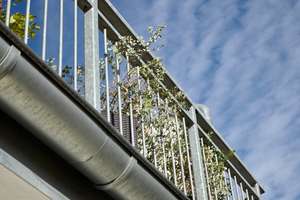 Gartenstraße/Hofgarten: VERMIETETE 3-Zi-DG-ETW + ausbaufähige Mansarde. In die Zukunft investiert.