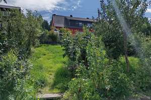 IDYLLISCH MIT VIEL PLATZ, KAMIN UND TOLLEM GARTEN  – Die vollständige Adresse der Immobilie erhältst du vom Anbieter., 98724 Steinheid – Vorschaubild 3