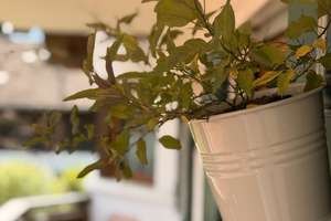 Property thumbnail 30