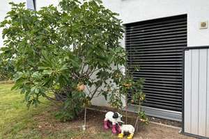 Franklin - Moderne 3 Zimmer Erdgeschoss-Wohnung mit ca. 150 m² Garten – Die vollständige Adresse der Immobilie erhältst du vom Anbieter., 68309 Käfertal, Mannheim – Vorschaubild 15