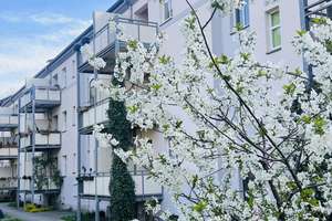 1-Zimmer Appartement in ruhiger und grüner Lage – Toeplerstraße 44, 1279 Tolkewitz/Seidnitz-Nord, Dresden – Vorschaubild 5