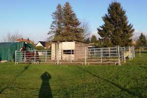 Ein-/ZFH Mehrgenerationenhaus 5.100+2.600 qm  Selbstversorger Tierhaltung Pferdehaltung  – Herford (Kreis) – Vorschaubild 47