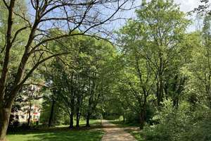 Demnächst frei! 2-Zimmer-Wohnung in Essen Margarethenhöhe – Baltrumweg 8, 45149 Margarethenhöhe, Essen – Vorschaubild 14