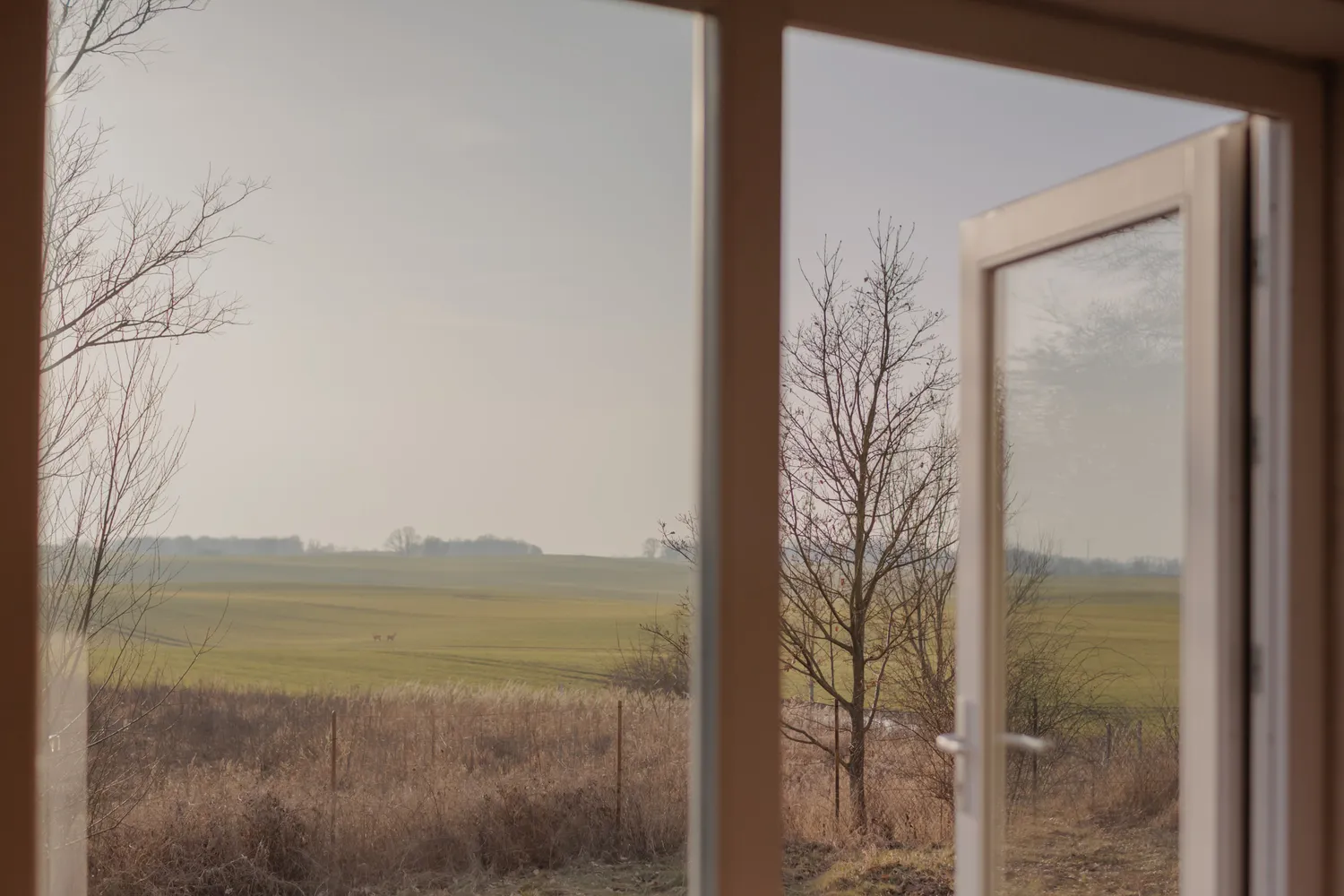 Landhaus in der Uckermark auf 11.000 m² Grundstück in absoluter Alleinlage, Uckermark Kreis – Bild 1