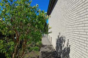 Gepflegtes Einfamilienhaus mit großem Garten und Garage in Bestlage – Die vollständige Adresse der Immobilie erhältst du vom Anbieter., 13503 Heiligensee, Berlin – Vorschaubild 6