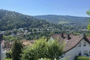 Tolles Single-Appartement mit Neckarblick in Ziegelhausen – In der Neckarhelle 44, 69118 Ziegelhausen, Heidelberg – Vorschaubild 8