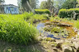 Ferienhaus in idyllischer Natur – Bad Doberan (Kreis) – Vorschaubild 10
