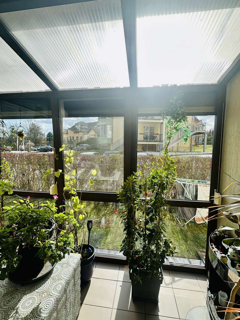 Immobilie in Oelsnitz/Erzgeb. - Attraktive Kapitalanlage mit soliden Mieteinnahmen – 3-Zimmer-Terrassenwohnung in Oelsnitz - Bild 4