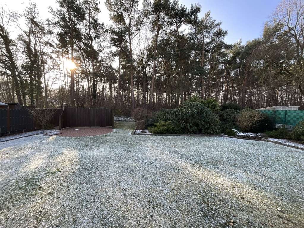 Immobilie in Eystrup - Elegantes Mehrgenerationenhaus – Zwei separate Wohnungen in guter Lage - Bild 4