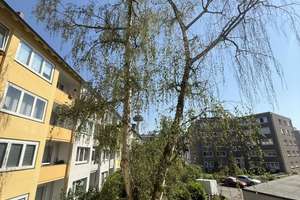 Oststadt! 3-Zimmerwohnung mit Balkon – Perlstraße 2, 30161 Oststadt, Hannover – Vorschaubild 9