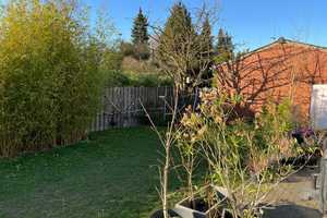 Bungalow mit Garten und Keller zur Miete, bezugsfrei ab 01.06.2025 – Virnkamp 8, 48157 Münster – Vorschaubild 17