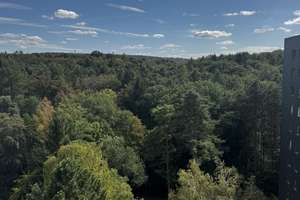 Helle 4 Zimmer Wohnung mit 2 Balkonen und tollem Ausblick – Richard-Wagner-Str. 89, 66125 Dudweiler (Ortsteil), Saarbrücken – Vorschaubild 12