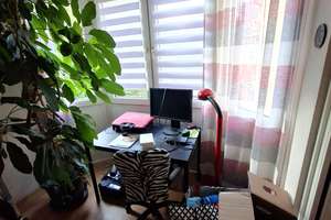 Wohnen mit Charakter: 3,5-Zimmer-Wohnung in Gelsenkirchen – Knappschaftsstraße 5, 45886 Ückendorf, Gelsenkirchen – Vorschaubild 6