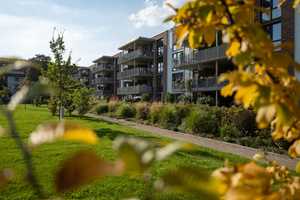 Wohnen im Park - sonnige 3-Zimmer-Wohnung im 3.OG mit Blick ins Grüne – Theo-Neubauer-Str. 21, 99085 Erfurt – Vorschaubild 22