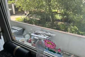 Helle schöne Wohnung mit Balkon und Tageslichtbad