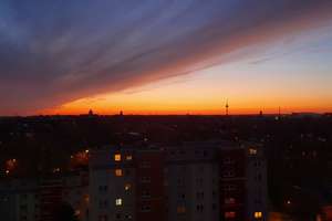 Property thumbnail 19