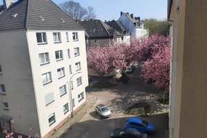 Freundliche 2-Zimmer-Wohnung in Dortmund, Unionviertel, Nähe Westpark – Barmer Straße 24, 44137 Dortmund – Vorschaubild 12