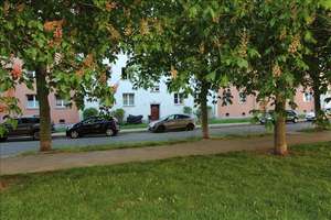 !! Aufgepasst - Kreative Mieter gesucht!!! – Lassallestr. 4, 39114 Cracau, Magdeburg – Vorschaubild 7