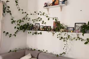 Zuhause mit 2 Zimmern und Balkon in Wiesbaden – Die vollständige Adresse der Immobilie erhältst du vom Anbieter., 65187 Südost, Wiesbaden – Vorschaubild 3