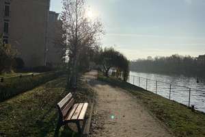 Perfekter Schnitt, nahe am Wasser: Helle 2-Zimmer Wohnung im Köpenicker  Spreebogen. – Die vollständige Adresse der Immobilie erhältst du vom Anbieter., 12555 Köpenick, Berlin – Vorschaubild 16