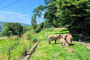 Property thumbnail 21