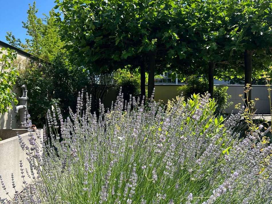 Garten