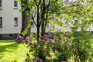 Klicken, mieten, einziehen! – Otto-Brenner-Str. 47, 45355 Essen – Vorschaubild 10
