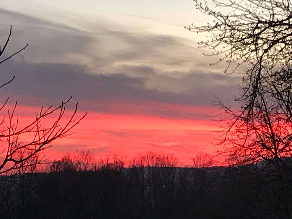 Immobilie in Niedergörsdorf - helles Appartement mit kleiner Loggia, optimal geschnitten - Bild 0