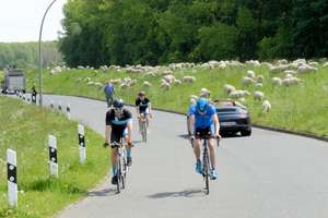 Property thumbnail 8