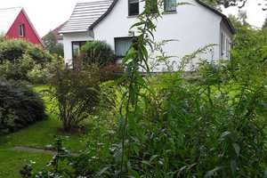 Freistehendes Einfamilienhaus mit gepflegtem Garten in bester Lage – Harz (Kreis) – Vorschaubild 1