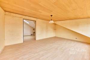 Besondere Immobilie mit außergewöhnlicher Größe, Substanz und Perspektive – vielfältig nutzbares MFH – Hauptstraße 190, 68789 Sankt Leon-Rot – Vorschaubild 59