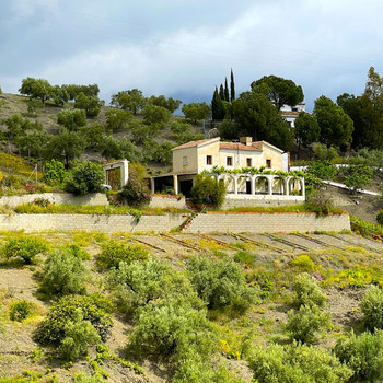 Immobilien zum Verkauf in Canillas de Albaida