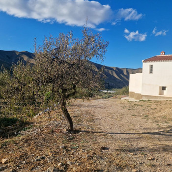 ArboleasCasa