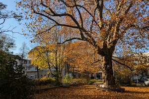 Property thumbnail 9