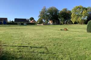 Bauernhaus mit zusätzlichem Bauland für vielfältige Nutzung – Mecklenburg-Strelitz (Kreis) – Vorschaubild 2