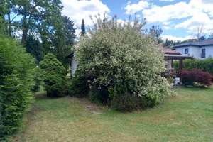 Bungalow mit großem Grundstück in Bohnsdorf ohne Makler  – Teichhuhnsteig 6, 12526 Bohnsdorf, Berlin – Vorschaubild 8