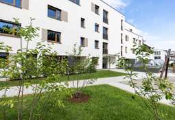 Hüni Innenhof Begrünung