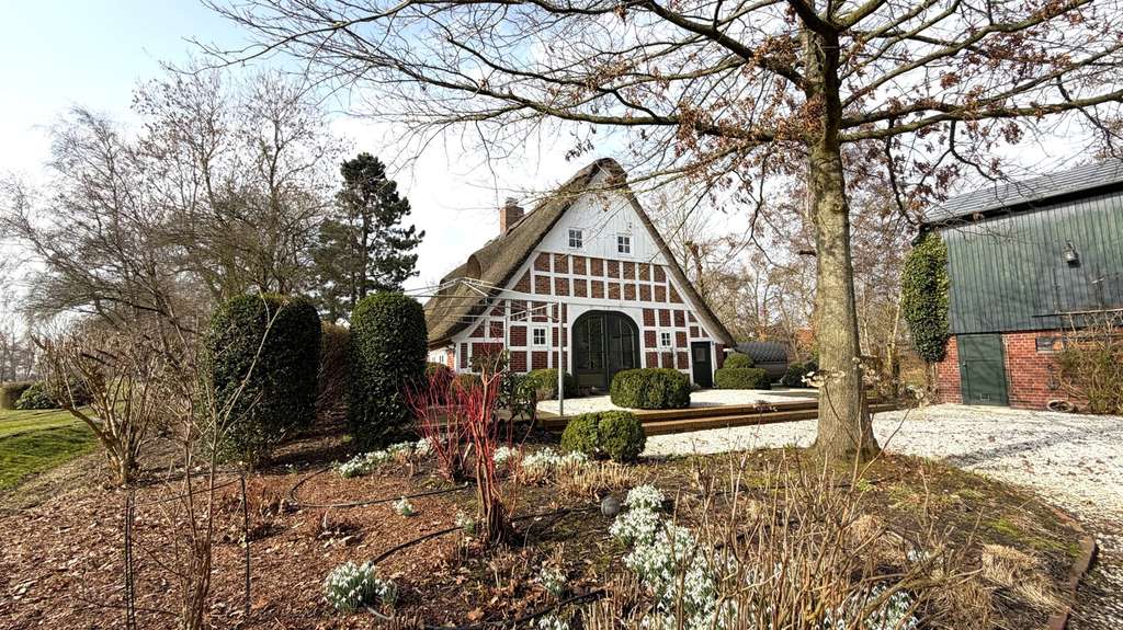 Immobilie in Oederquart - Historisches Reetdachhaus mit Sauna, Teich, Feldblick und Scheune - Bild 2