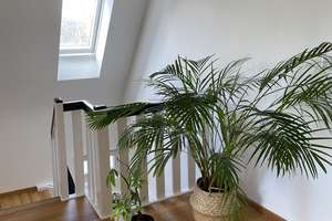 Großzügiges, modernisiertes Haus für die Familie – 67069 Oppau, Ludwigshafen am Rhein – Vorschaubild 20