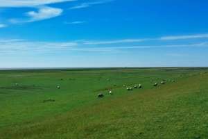 Liebhaber gesucht! Märchenhaftes Anwesen an der Nordseeküste – Die vollständige Adresse der Immobilie erhältst du vom Anbieter., 25709 Kaiser-Wilhelm-Koog – Vorschaubild 60