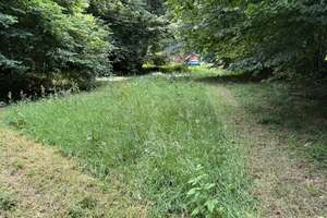 Exklusives Doppelangebot in Alleinlage – Zwei Bungalows für Naturgenießer! – Die vollständige Adresse der Immobilie erhältst du vom Anbieter., 25767 Albersdorf – Vorschaubild 55