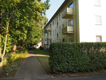 Immobilien Mieten In Goldau Nestoria