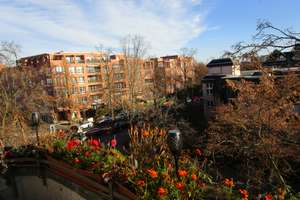 Property thumbnail 19