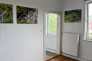 Viel Platz & großes Potenzial: Einfamilienhaus mit Halle und großem Grundstück in Söhlde – Hildesheim (Kreis) – Vorschaubild 5