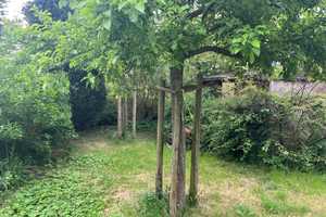 Charakterhaus für die große Familie oder als Zweigenerationenhaus – Wesel (Kreis) – Vorschaubild 6