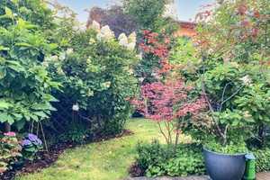 Viel Platz für die gesamte Familie - ruhiges Wohngebiet, Garten und Dachterrasse in Südausrichtung – Berlin – Vorschaubild 8