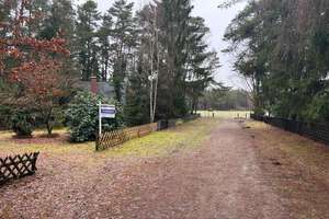 Kleines Nurdachhaus in idyllischer Waldlage bei Jelmstorf! – Die vollständige Adresse der Immobilie erhältst du vom Anbieter., 29585 Jelmstorf – Vorschaubild 3